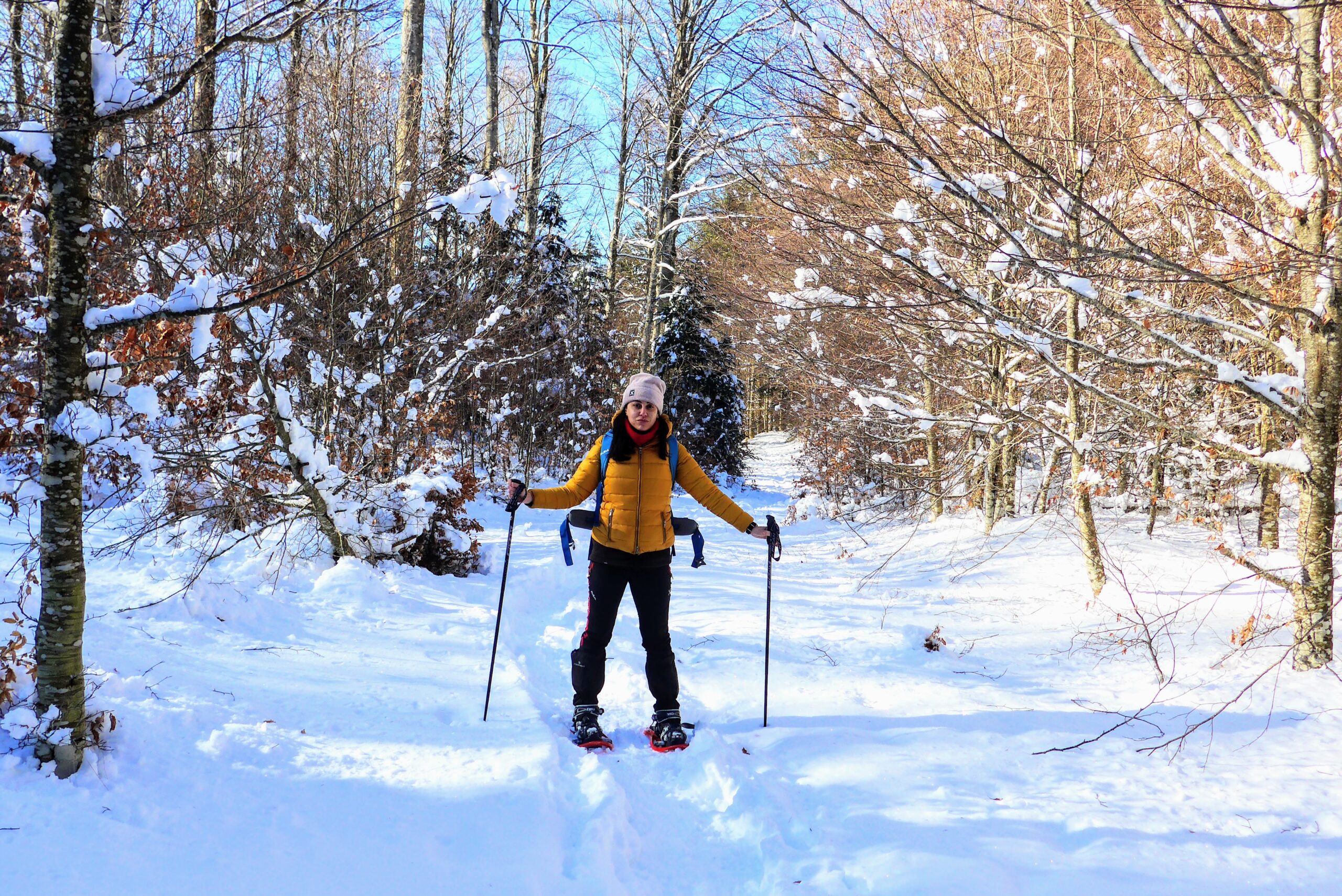 Utilizzo delle ciaspole: breve guida per escursionisti invernali