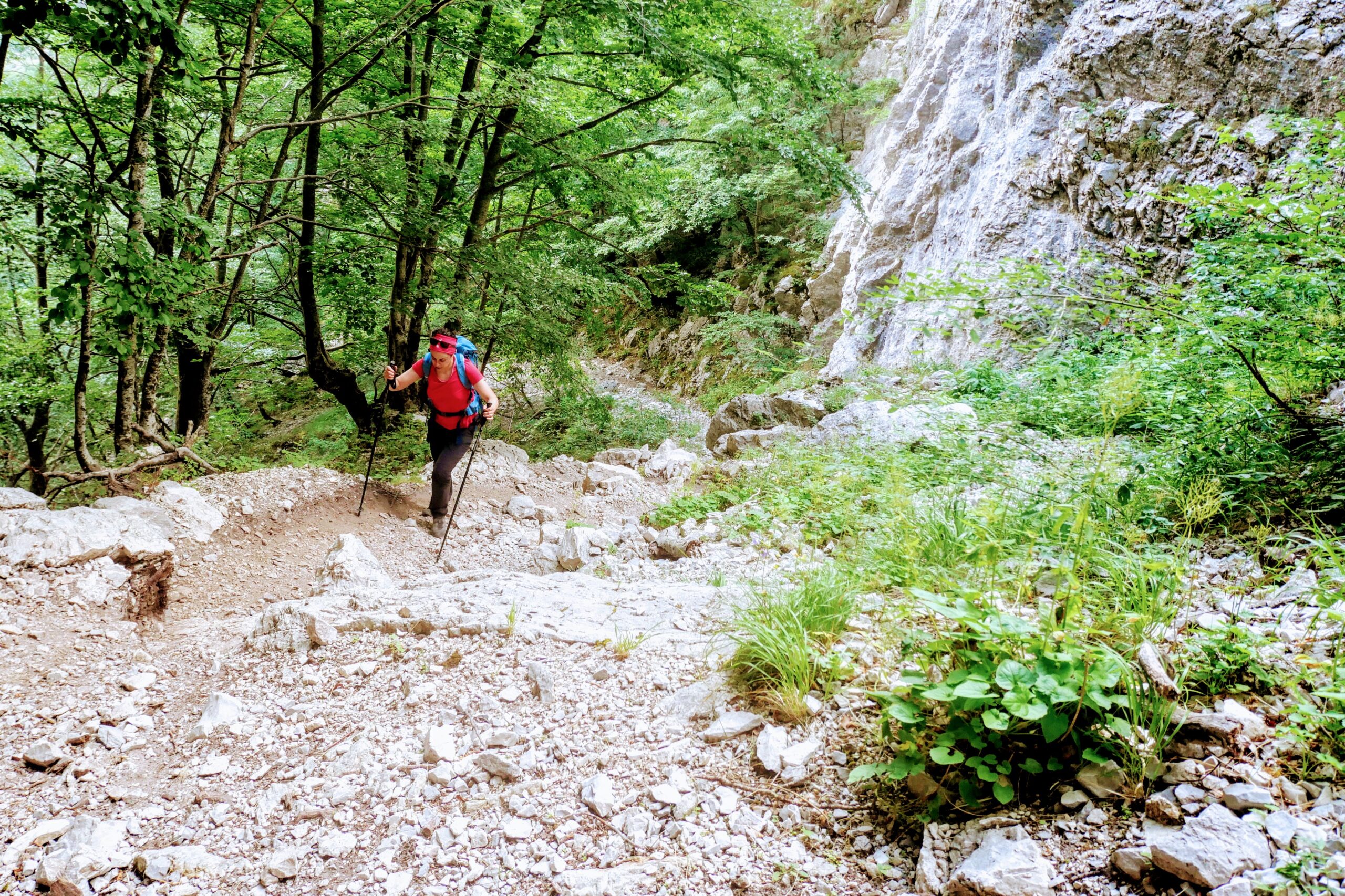 Affrontare le salite in montagna: tecniche, preparazione e consigli per escursionisti