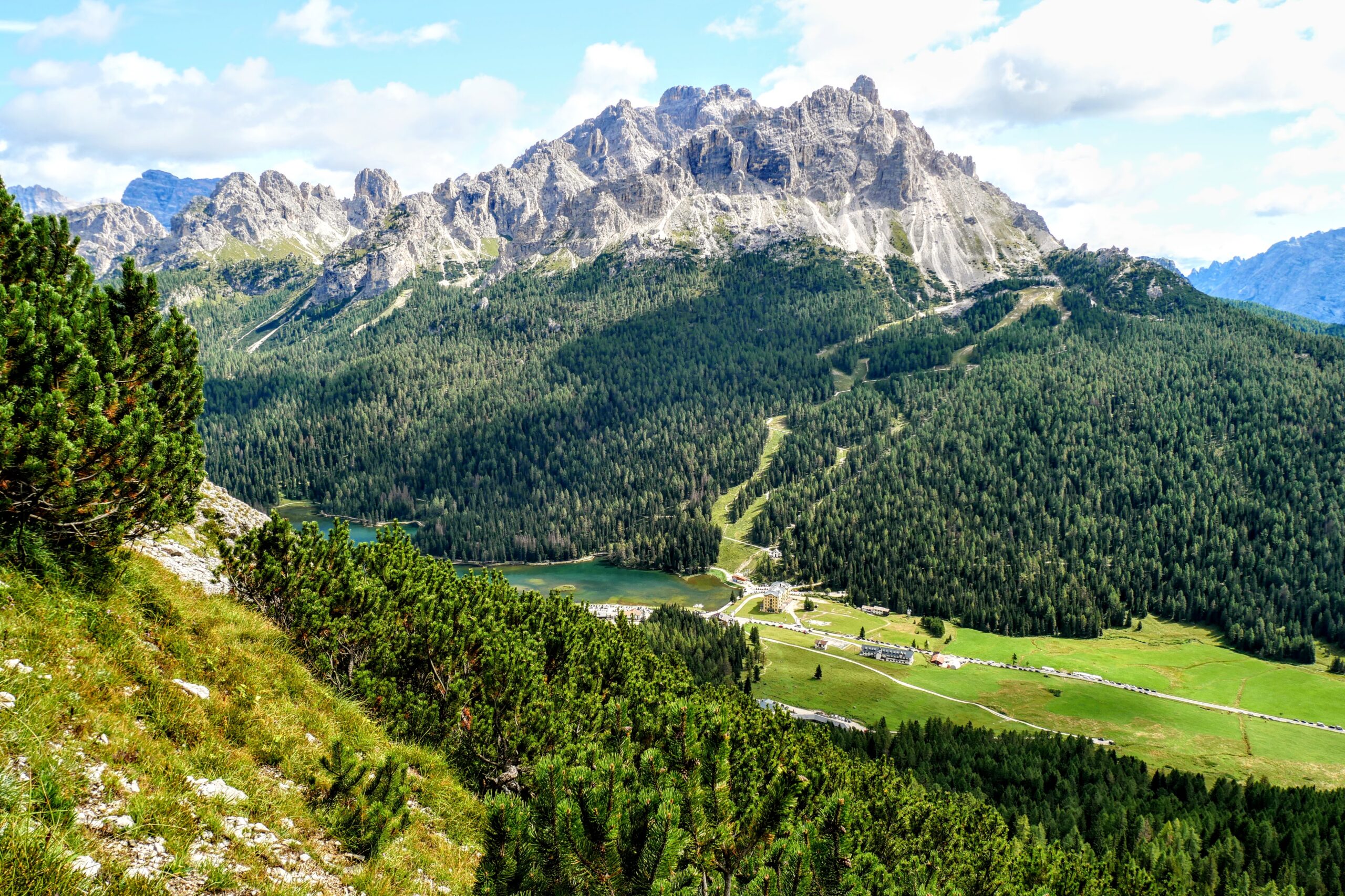 Dalle Dolomiti all'Appennino: come l'altitudine influenza la vegetazione nelle montagne italiane