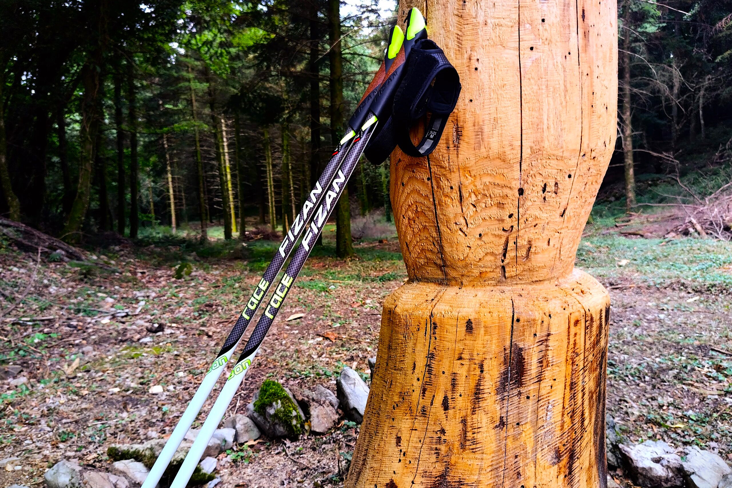 Guida alla scelta dei bastoncini da Nordic Walking: caratteristiche, vantaggi e consigli tecnici