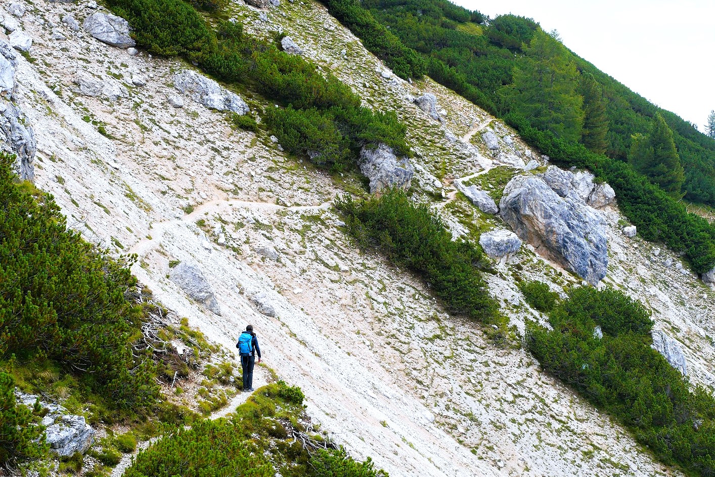 Origine della parola “Trekking”: un viaggio tra linguaggio e avventura